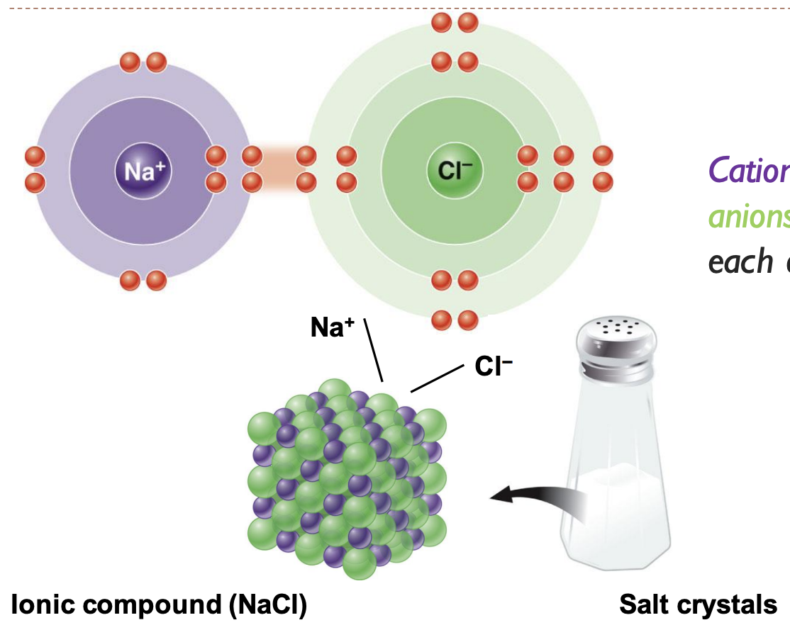 <p>cations (purple) and anions (green) attract each other like in salt (NaCl)</p>