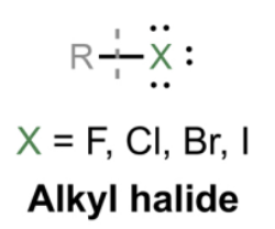 <p>A compound with a carbon chain bonded to a halogen atom (X = F, Cl, Br, I).</p>