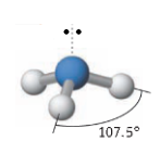 <p>trigonal bipyramidal</p>