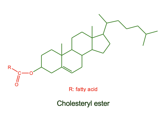 lipoprotein

**low density lipoproteins**