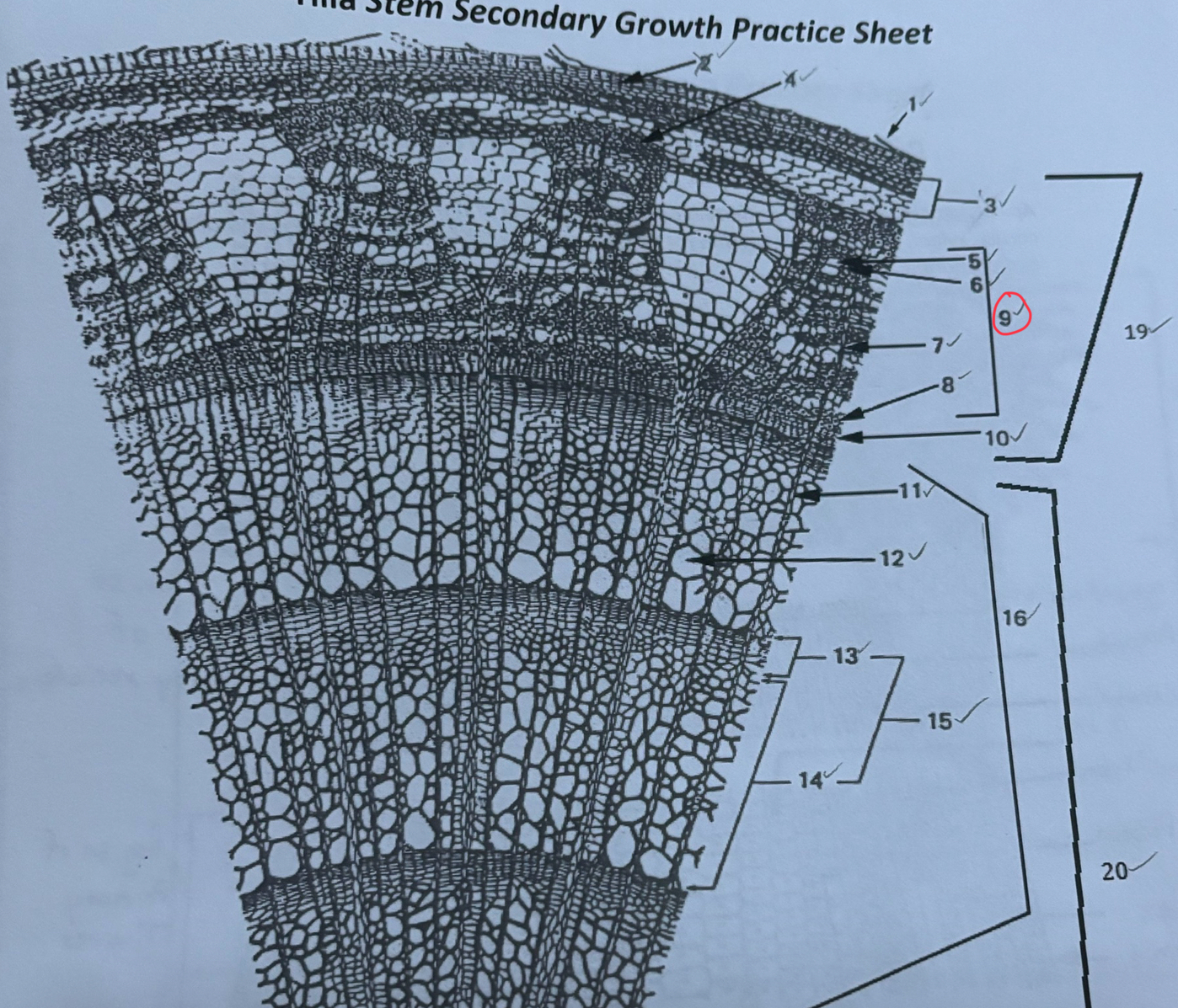 knowt flashcard image