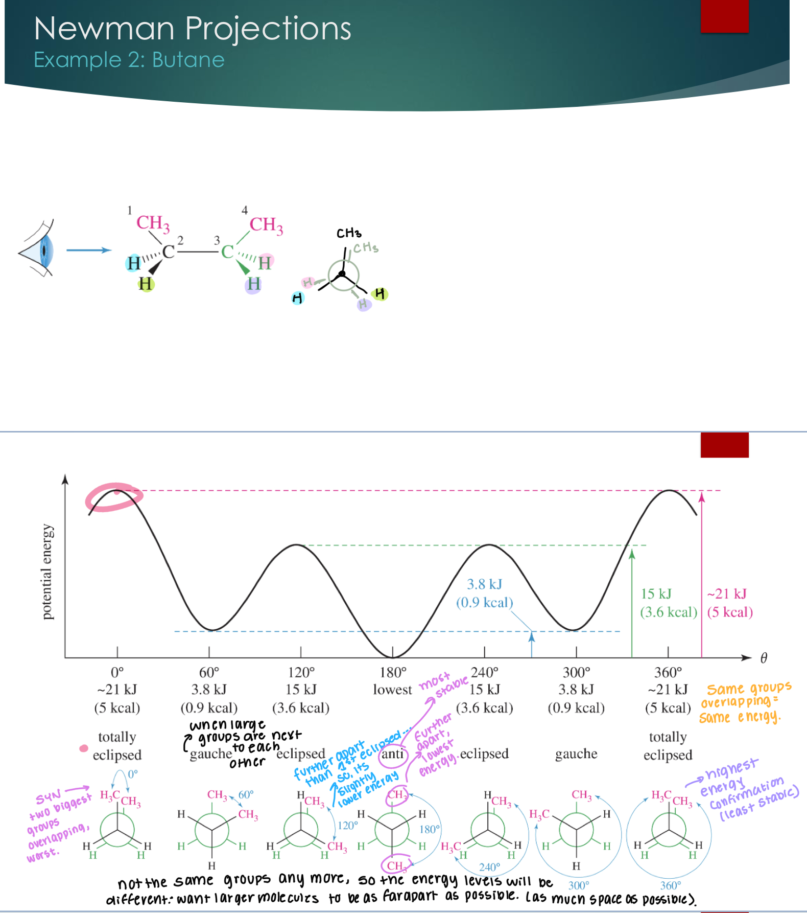 <p><strong>SYN eclipsed</strong> → two biggest groups are overlapping, which is the worst.&nbsp;</p><p><strong>Gauche</strong> → when large groups are next to each other</p><p><strong>Eclipsed</strong>&nbsp;→ Where the biggest groups are further apart than the 1st eclipsed&nbsp;</p><p><strong>Anti</strong>&nbsp;→ most stable. Furthest from each other and the lowest energy.&nbsp;</p><p>Not the same groups anymore, so the energy levels will be different: want larger molecules to be as far apart as possible (as much space as possible).&nbsp;</p>