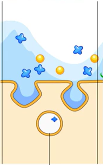<ul><li><p>Cell takes in molecules across the water in big quantities from the extracellular environment</p></li><li><p>Membrane invaginates, then pinches off and brings in particles through the newly formed vesicles</p></li><li><p>Lysosomes come and bind to vesicles</p><ul><li><p>Produce hydrolytic enzyme mixtures, so they can cut through water</p></li><li><p>Also break down whatever is floating in water</p></li></ul></li><li><p>Efficient way to grab a lot of things all at once and haul them into the cell</p></li><li><p>Non-specific</p></li></ul><p></p>