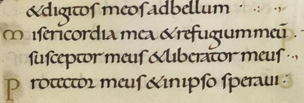 <ul><li><p>a with a curved top part over the body of the letter</p></li><li><p>Round top g</p></li><li><p>Tall s with a small hook/shoulder on the left of the letter</p></li></ul><p></p><p>Image: 10th century example, Ramsey psalter </p><p></p>