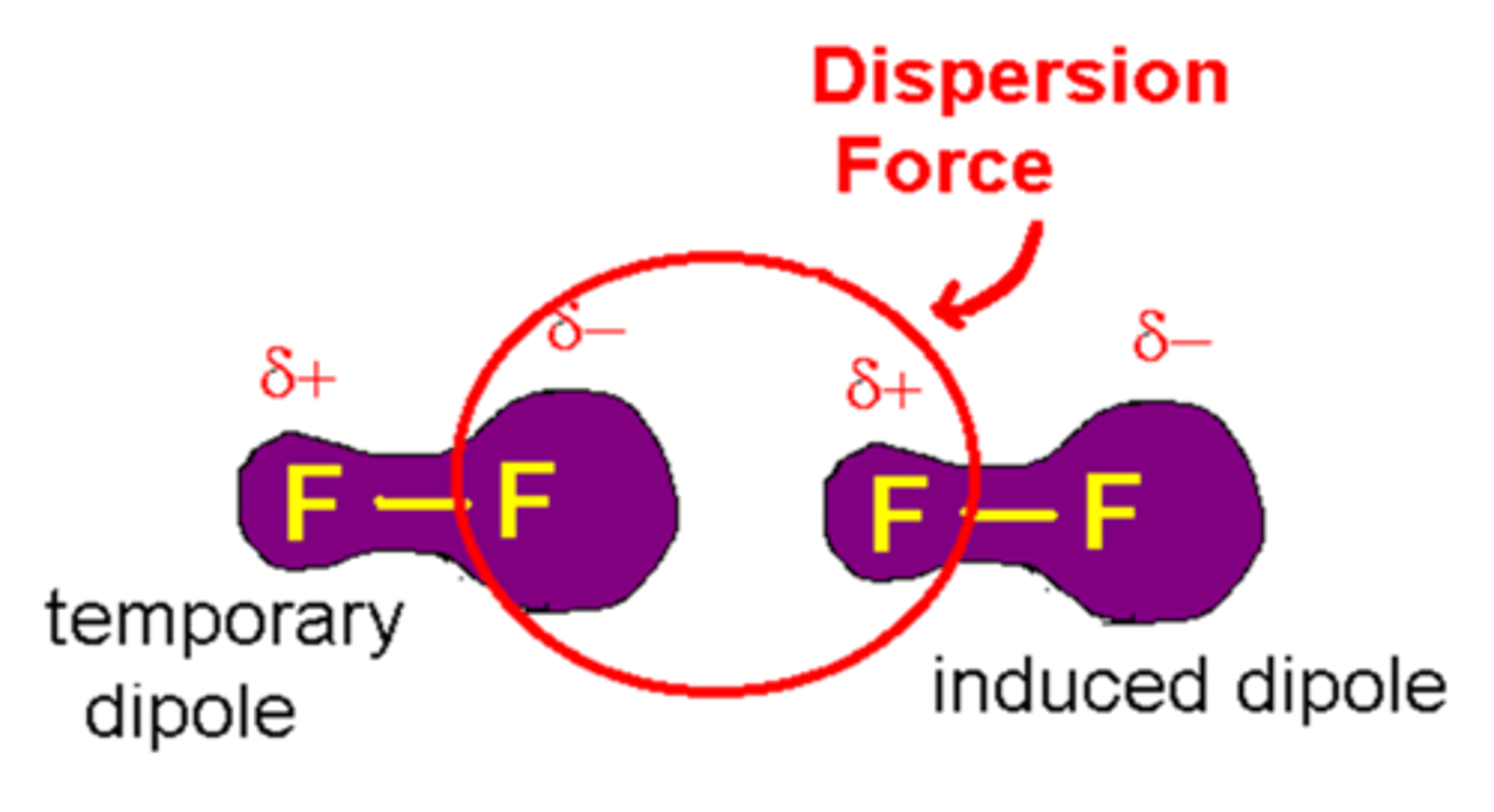 <p>(C) London Dispersion Forces</p><p>London Dispersion Forces result from the polarization of electron clouds between non-polar molecules.</p>