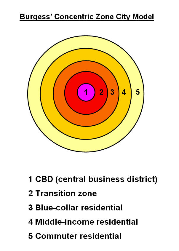 <p>Burgess concentric zone model</p>