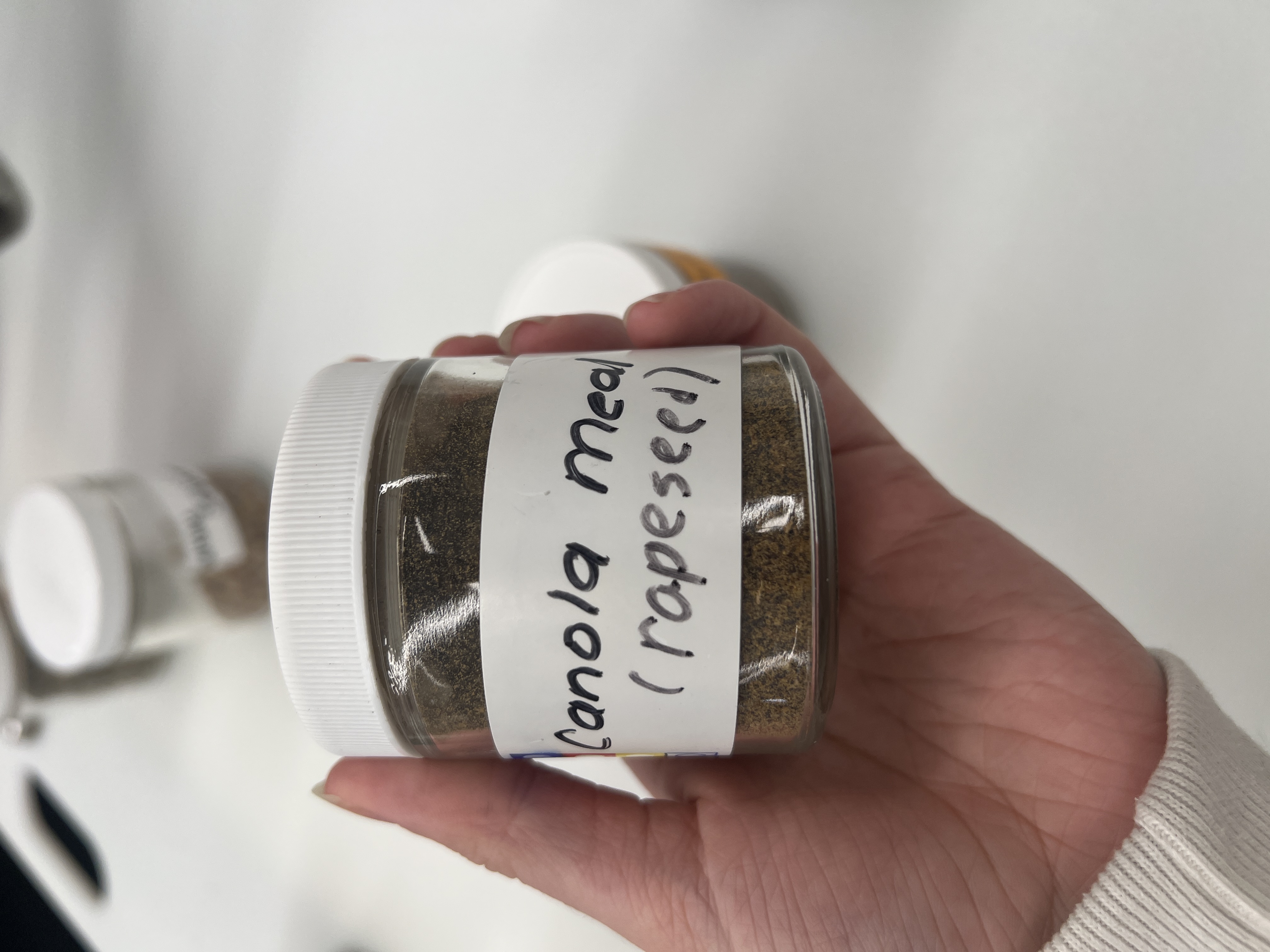 <ul><li><p>IFN # and category: 5 protein source</p></li><li><p>AAFCO category: plant protein product</p></li><li><p>appearance: fuzzy looking powder, more brown than the alfalfa meal</p></li></ul><p></p>