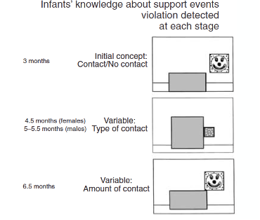 <p><span>a)</span><span style="font-family: Times New Roman">&nbsp;&nbsp;&nbsp;&nbsp; </span><span>young infants may have some understanding of permanence but not across all occlusion events (refer to reading from this week)</span></p><p><span>b)</span><span style="font-family: Times New Roman">&nbsp;&nbsp;&nbsp; </span><span>infants understand solidity, but not all contact-related trajectories (e.g. contact by a big object vs. small object results in different displacement)</span></p><p><span>c)</span><span style="font-family: Times New Roman">&nbsp;&nbsp;&nbsp;&nbsp; </span><span>infants understand support/gravity but the precision of this understanding develops over the first year of life (e.g. amount of contact)</span></p><p><span>i)</span><span style="font-family: Times New Roman">&nbsp;&nbsp;&nbsp;&nbsp;&nbsp; </span><span>by 3 months, they start understanding that there should be some kind of contact for an object to stay on top of another contact</span></p>