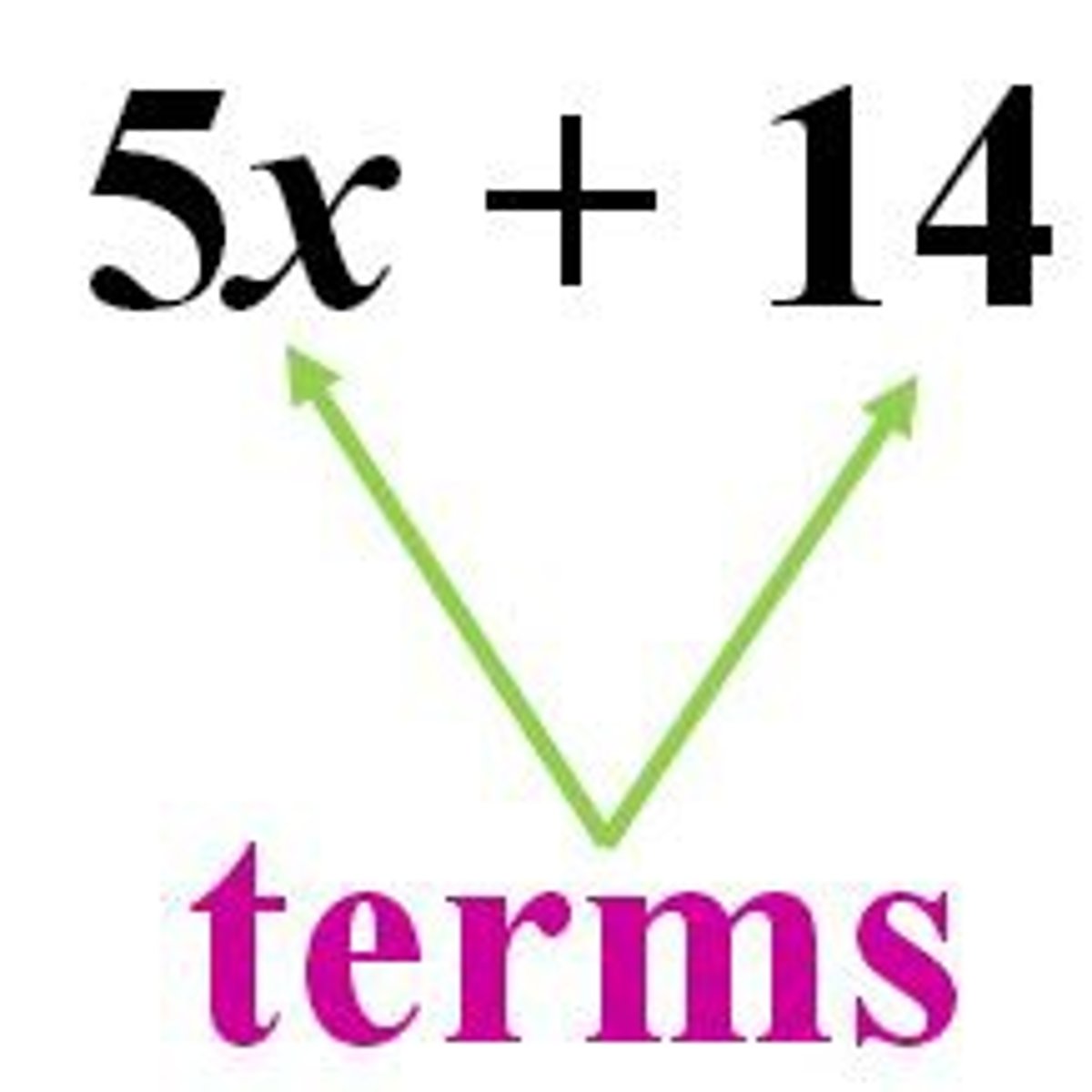 <p>A number, a variable, or a combination of a number and a variable</p>