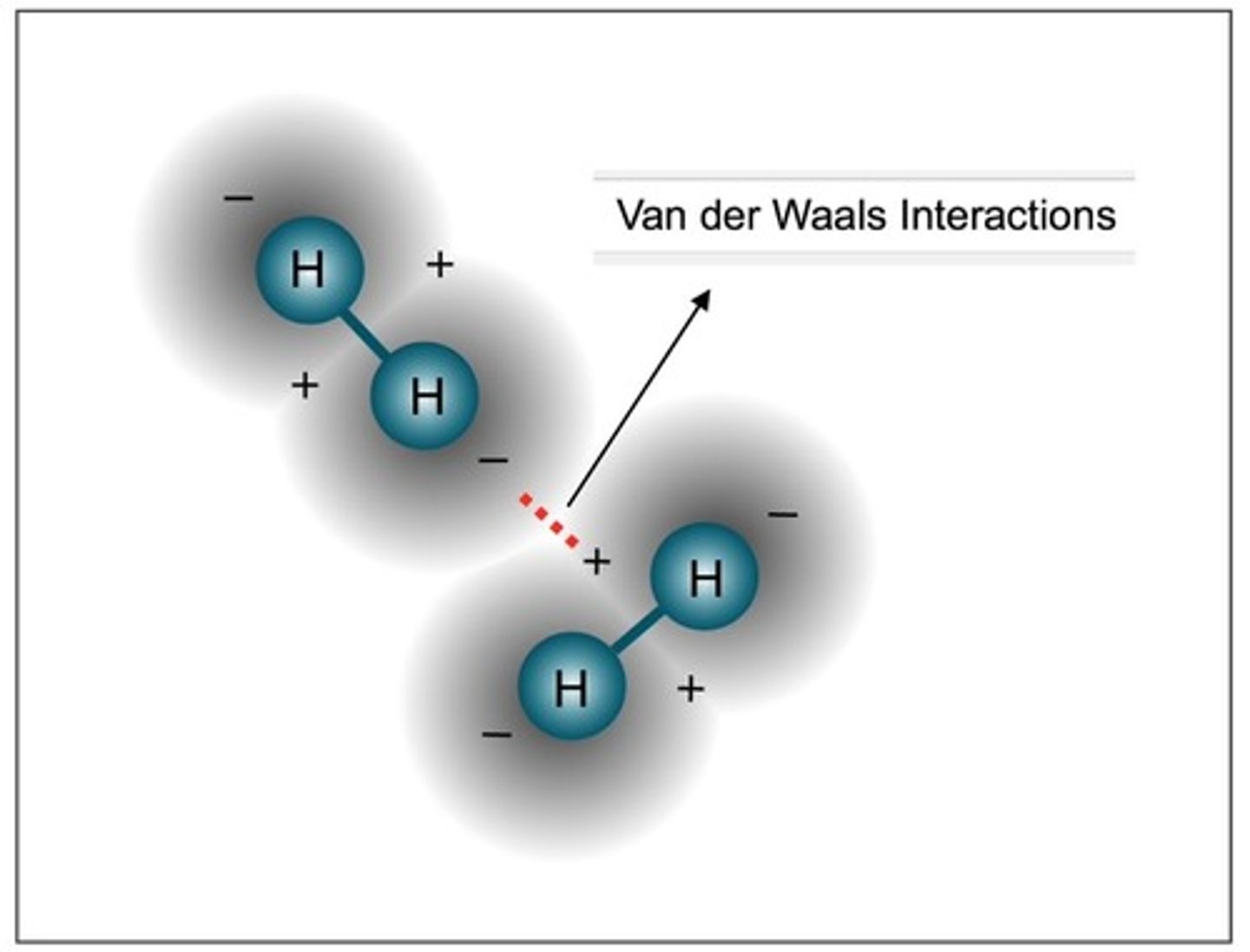 <p>Weak bonds that occur between nonpolar molecules</p>