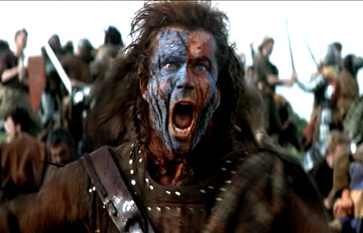 <p>a person who fights against the government of their country</p>