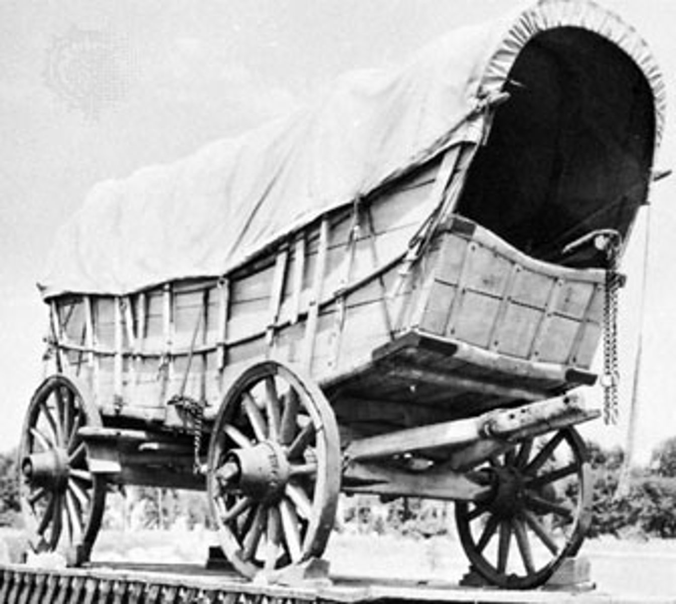 <p>• Conestoga wagon</p><p>• Kentucky rifle</p><p>• Christmas tree</p><p>• Kindergarten</p>