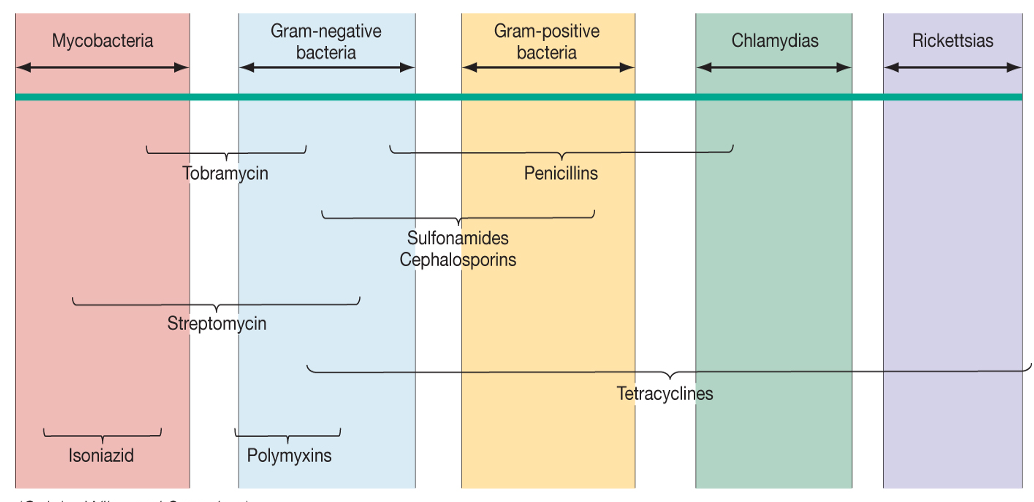 What are the broad spectrums on the chart?