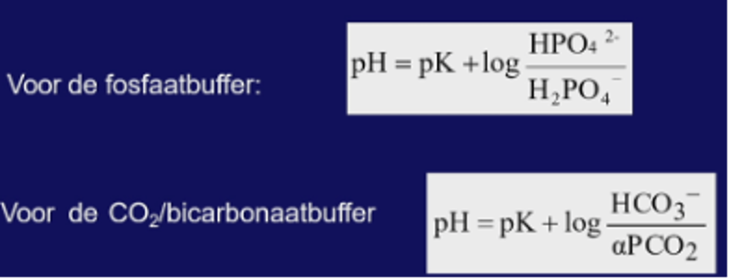 <p>pH = pK + log([Bn]/[HBn+1])</p><p>- Bn = de geconjugeerde base</p><p>- HBn+1 = het zuur</p>