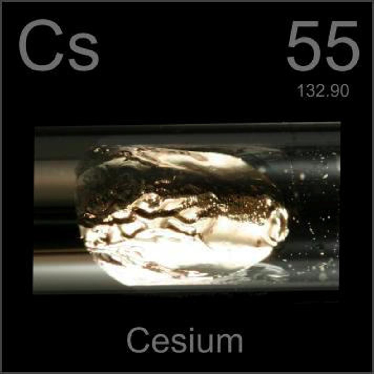 <p>Ceslum</p>