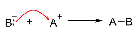 <p>Bonds form</p>