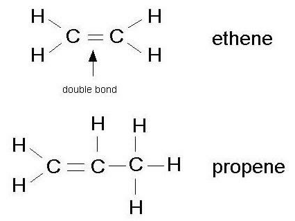 <p>double, -ene </p>