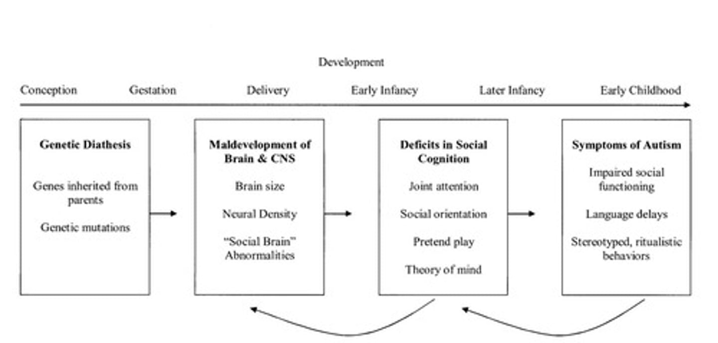 <p>Real increases due to food allergies, metabolic disorders, neurological problems from toxins, advanced maternal age; changes in diagnostic practices, greater awareness, and broader definitions.</p>