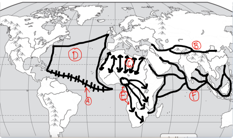 <p>Which noted trade routes and migration pattern is letter B?</p>