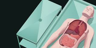 <p>Helps pathologists examine internal and external parts of body</p>