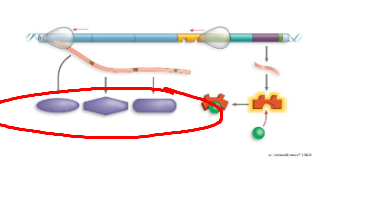 <p>What system + what structure</p>