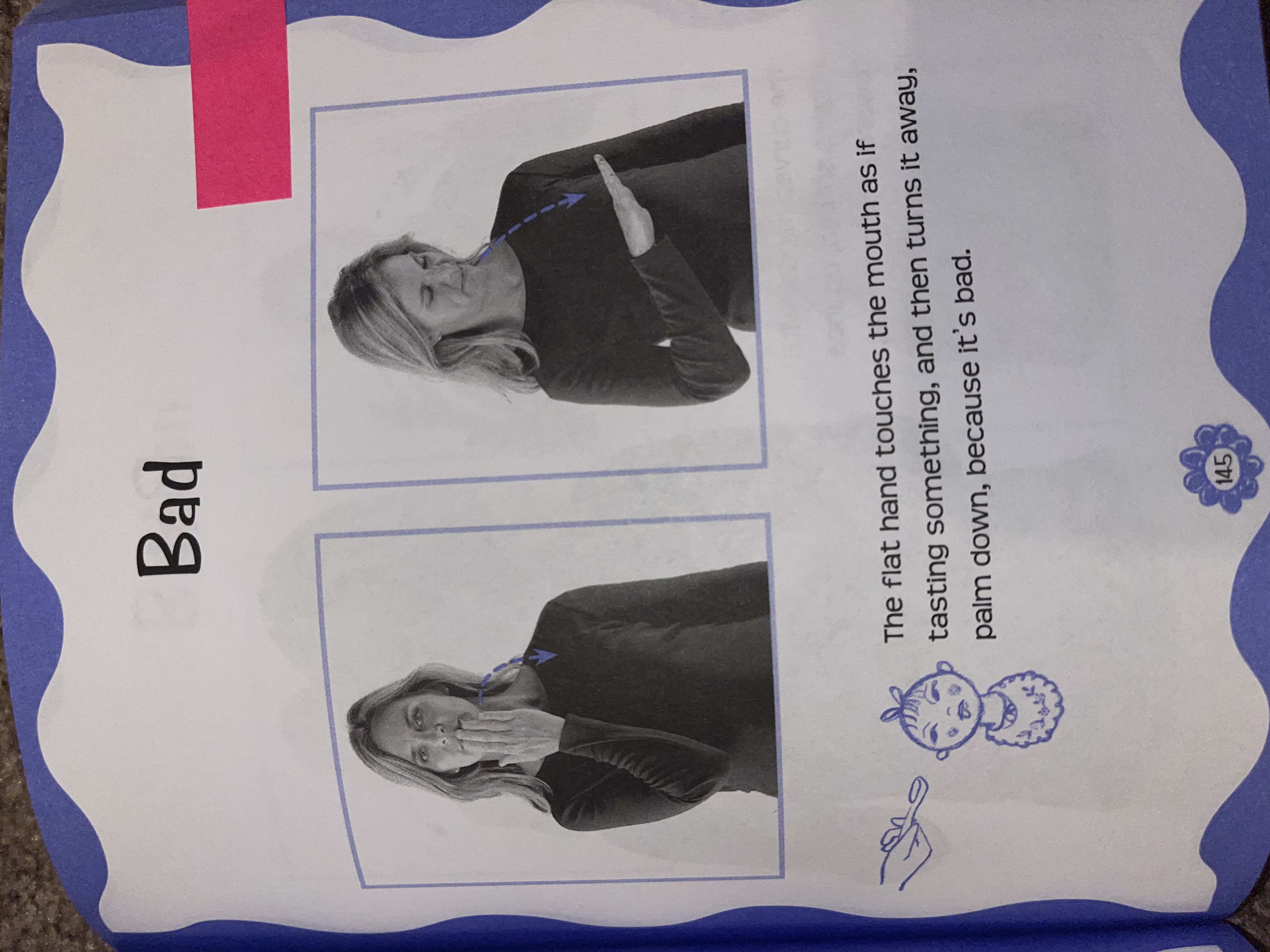 knowt flashcard image