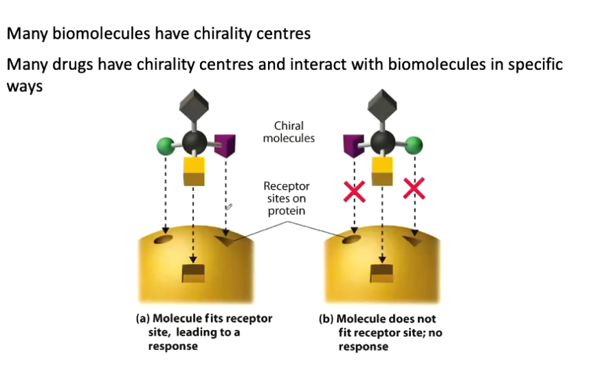 <p>The way they interact under polarised light, making them optically active (not important for this subject). One enantiomer rotates clockwise (+) and anticlockwise (-).<br><br>The way in which they interact with other chiral molecules.</p>