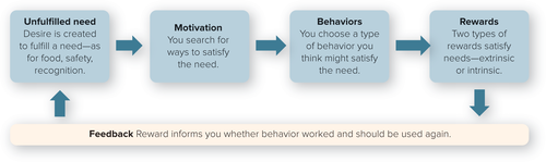 unfulfilled need, motivation, behaviors, rewards, feedback
