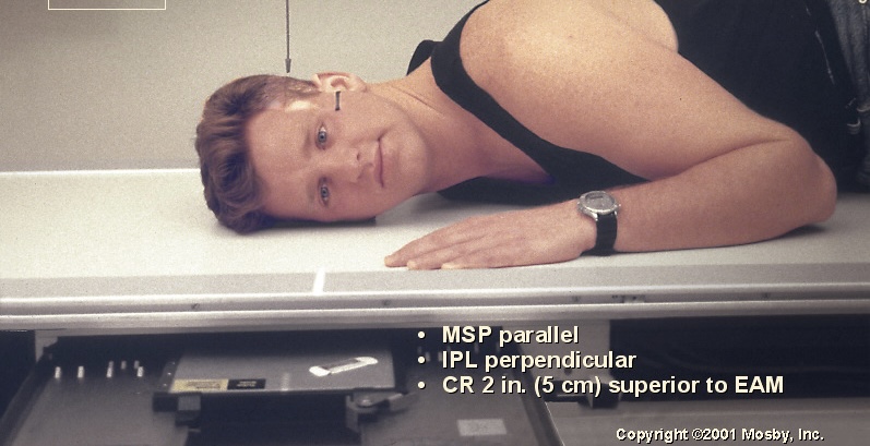 <p>What position is this?</p>