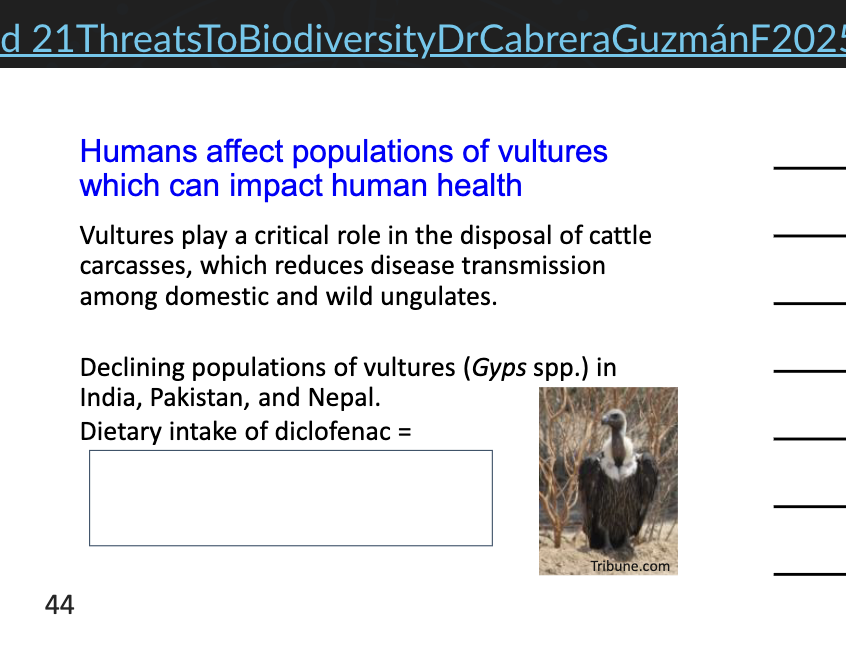 <p>humans affect populations of vulutres which can impact human helath def. </p>
