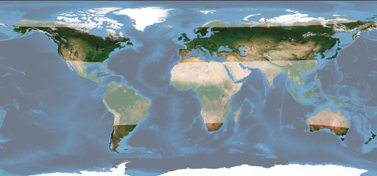 <p>Climate scientist David Keeling is renowned for discovering the steady increase of CO2 in Earth’s atmosphere over time.</p><ul><li><p>In 1958, Keeling began measuring atmospheric CO2 levels at the Mauna Loa observatory in Hawaii using precise infrared gas analyzers.</p></li><li><p>He observed a “sawtooth pattern” in the data, caused by seasonal cycles of plant growth and decay (e.g., plants absorbing CO2 in spring and releasing it in the fall)</p></li></ul><p></p><p>Keeling demonstrated that CO2 levels were steadily increasing year-after-year due to HUMAN CONTRIBUTIONS like fossil fuel burning and deforestation</p><ul><li><p>The <strong>Keeling Curve</strong>, which tracks atmospheric carbon dioxide (CO₂) levels, shows clear seasonal fluctuations due to plant photosynthesis and respiration cycles.</p></li><li><p>Peak CO2 levels in May, trough CO2 levels in September.</p></li><li><p>In fall months, deciduous trees drop their leaves so over winter are not photosynthesizing. <strong><u>Thus over winter months, global respiration outpaces photosynthesis</u></strong></p></li></ul><p></p><ul><li><p>Long-term continuous measurements at one site</p></li><li><p>&nbsp;Site was at high altitude in the<strong><u> middle of the ocean</u></strong>, far from any sources of CO2 , (i.e. vegetation or human civilization)</p></li><li><p>Thus the air is well-mixed and the data is representative of the N. Hemisphere</p></li><li><p>Measurements were of high precision – using a new, more stable technique and constantly calibrated</p><ul><li><p>IR gas analyzer, detects how much IR radiation is absorbed by CO2 molecules in a sample of air</p></li></ul></li></ul><p></p><p><strong>President Day: 425 ppm</strong></p><p><strong>Pre-industrial: 270 ppm</strong></p><p><strong>Present rate of growth: 3.0 ppm/year</strong></p><p></p><p><strong><u>Describe the patterns observed in the modern atmospheric [CO2 ] record</u></strong></p><ol><li><p><strong><u>Seasonal Oscillations &amp; 2. Long-Term Rise</u></strong></p><ul><li><p><em>Keeling curve SHOULD be going up and down seasonally (seasonal oscillations) but not increasing exponentially the way that it is, the little blips up and down are normal but the gradual trend upwards is NOT</em></p></li></ul></li></ol><p></p><ol start="3"><li><p><strong><u>Spatiotemporal Variability</u></strong></p><ul><li><p>Changes in a phenomenon over both <strong>space (LOCATION) and time (DURATION)</strong></p></li><li><p>In the context of the <strong>Keeling Curve</strong>, spatiotemporal variability would refer to how CO₂ levels fluctuate both <strong>in different locations</strong> and over <strong>time</strong>.</p></li></ul></li></ol><p></p><p>*********************************************************************************************************</p><p>This is due to the inherent <strong><u>asymmetry of the globe</u></strong></p><ul><li><p>Large amounts of land surface in the high latitudes of the Northern Hemisphere result in a large fall flush of CO2 into the atmosphere and a large, measurable uptake of CO2 from the atmosphere in the spring.</p></li><li><p>The Northern Hemisphere effect dominates the same effect in the Southern Hemisphere because the<strong> Southern Hemisphere has little land at comparable latitudes.</strong></p></li><li><p>&nbsp;The dominance of landmasses in the Northern Hemisphere is also important in the formation of glacial periods.</p></li></ul><p></p>