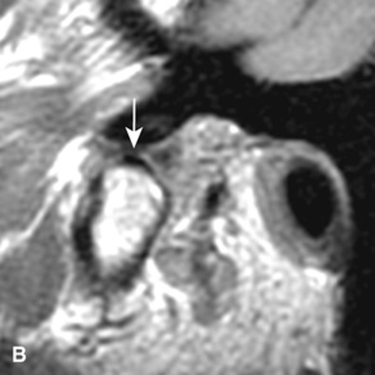 <p>What is the image showing?</p>