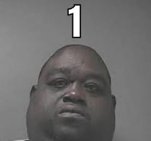 <p>What is the name of Article 1 of the Constitution and what is it primarily concerned with?</p>