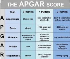 <p><span>👶🩺</span> Skala APGAR to system punktowej oceny stanu klinicznego noworodka bezpośrednio po urodzeniu, obejmujący pięć parametrów:</p><p></p><ol><li><p><span>🎨👶</span> A – Appearance (kolor skóry).</p></li></ol><p></p><ol start="2"><li><p><span>💓📈</span> P – Pulse (tętno).</p></li></ol><p></p><ol start="3"><li><p><span>😖🤧</span> G – Grimace (reakcja na bodźce).</p></li></ol><p></p><ol start="4"><li><p><span>💪🏃</span> A – Activity (napięcie mięśniowe).</p></li></ol><p></p><ol start="5"><li><p><span>🫁🌬</span> R – Respirations (oddychanie).</p></li></ol><p></p>