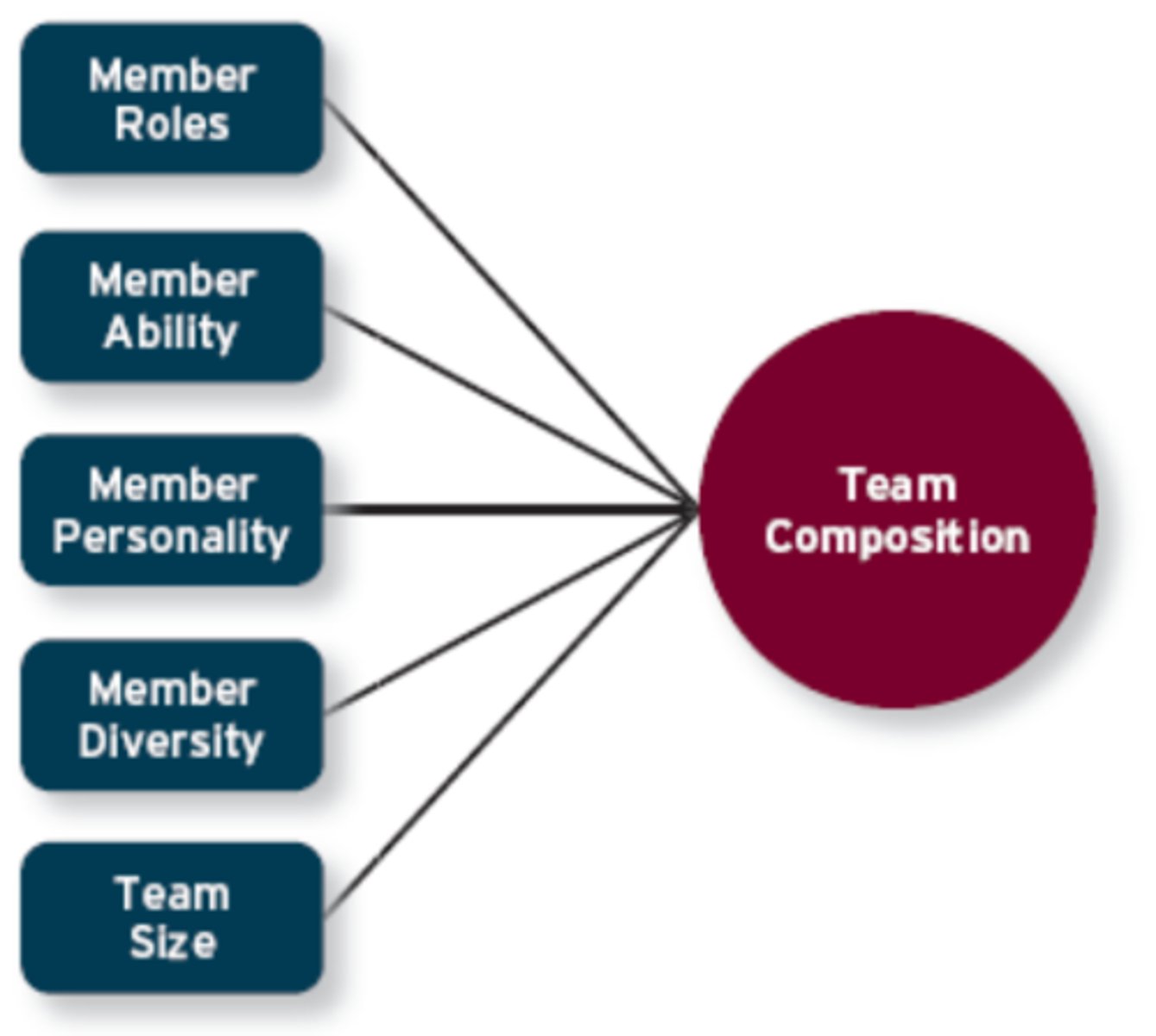 <p>member roles, member ability, member personality, team diversity, team size</p>