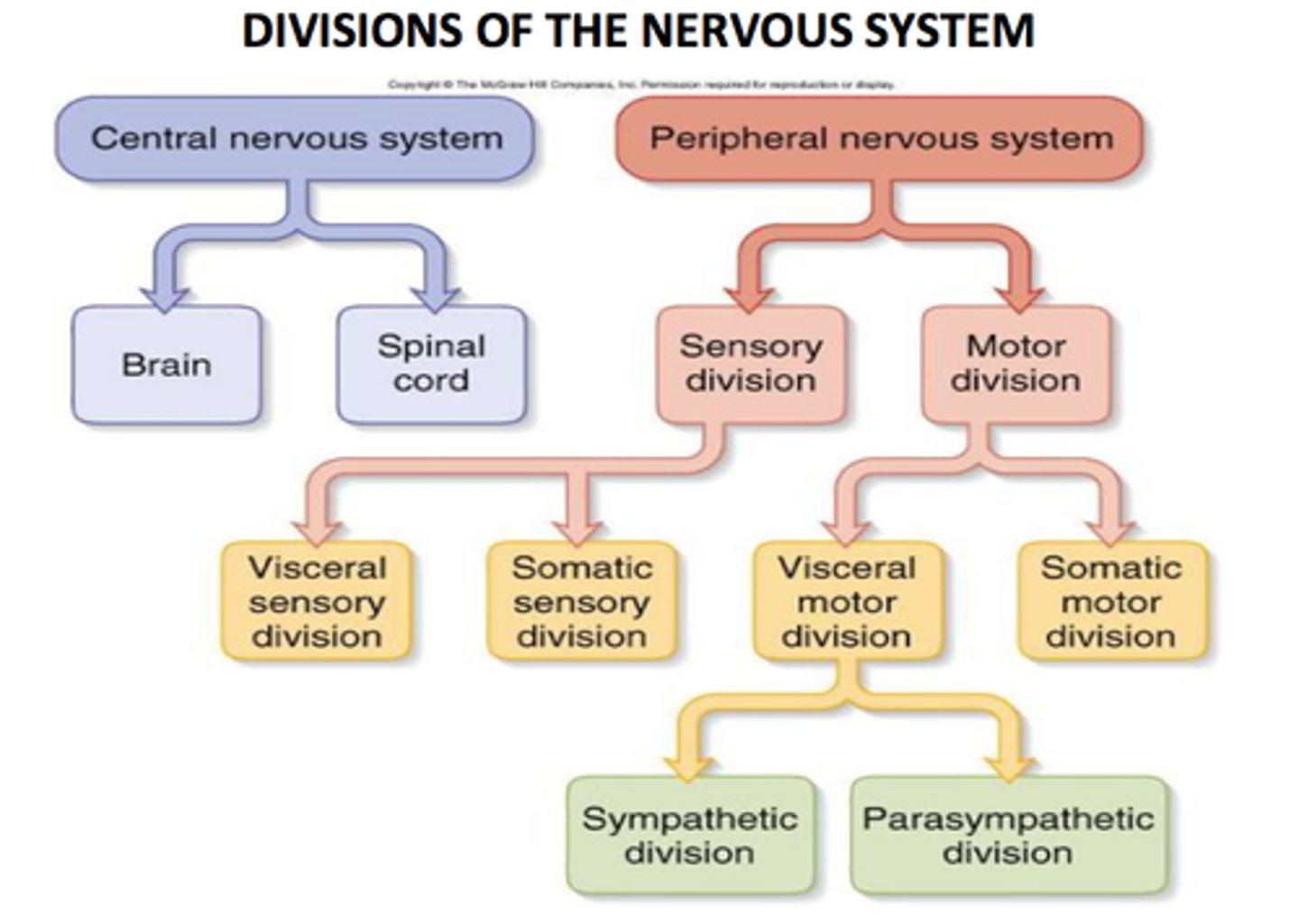 <p>Sự chia nhỏ, phân khu</p>