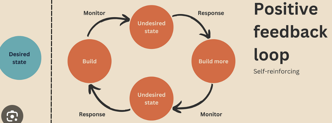 <p>positive feedback loop</p>