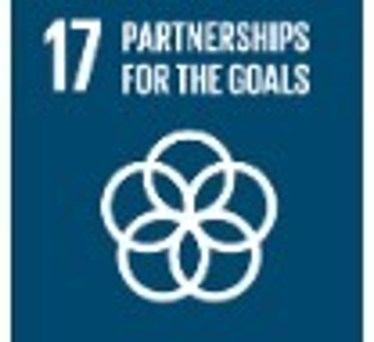 <p>Strengthen the means of implementation and revitalize the global partnership for sustainable development.</p>