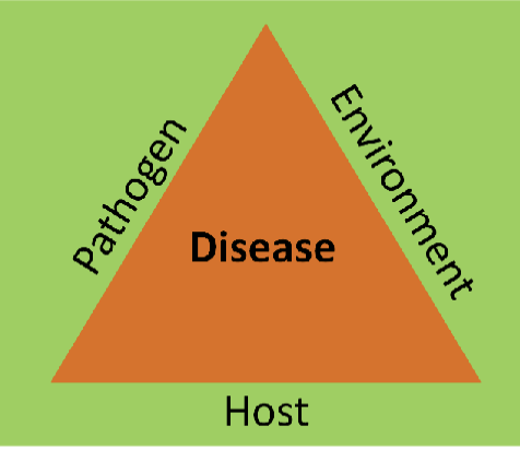 <p>health is a state influenced by interaction between humans and their environments (habitats)</p>