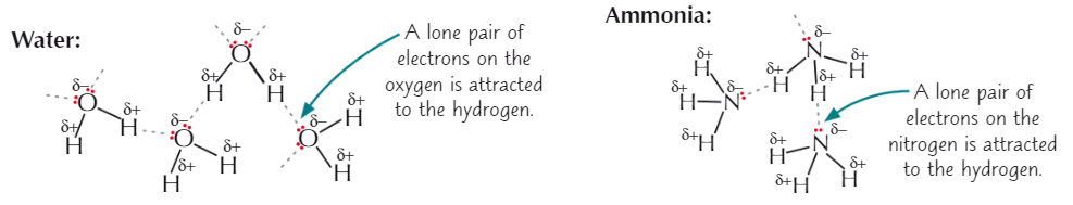 <p><strong>-OH</strong> or <strong>-NH</strong></p><p><strong>Water </strong>+ <strong>ammonia </strong>both have H bonding</p>