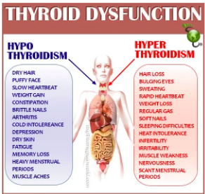 <p>Hypothyroidism - decrease in T3/T4</p><p>Hyperthyroidism - increase in T3/T4</p>