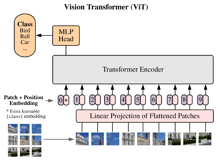 <p>Vision Transformers (ViT) process images as a sequence of patches, embedding each patch, and passing these embeddings through transformer layers, traditionally designed for NLP tasks.</p><p>Unlike CNNs, ViT does not rely on convolutions, allowing it to leverage self-attention mechanisms to model global relationships more directly.</p>