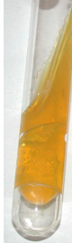 <p>Test Type and Description?</p>