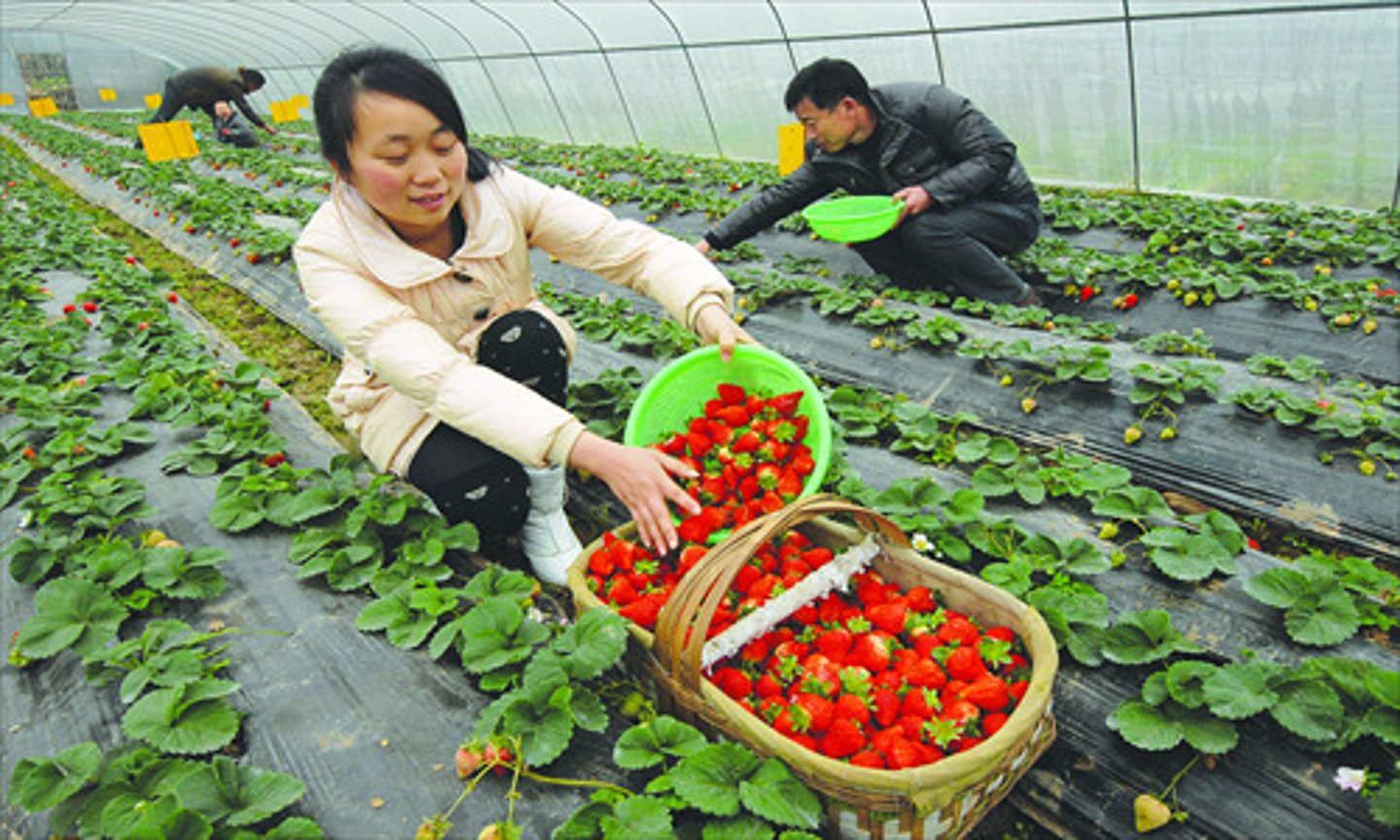 <p>cộng việc bình thường</p>