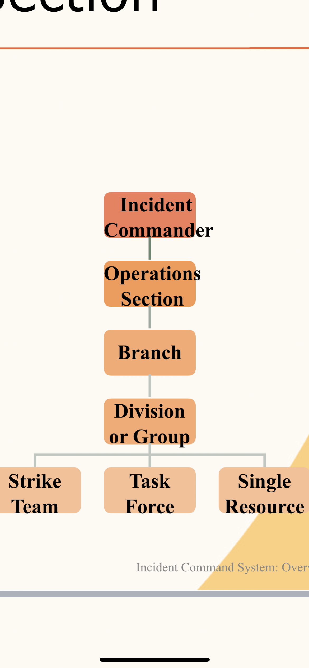 <p>Operations Section</p>
