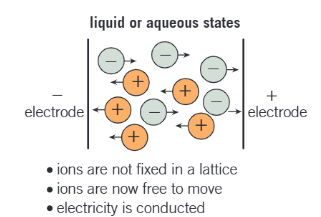 <ul><li><p>solid ionic lattice breaks down</p></li><li><p>the ions are now free to move as mobile charge carriers </p></li></ul><p></p>