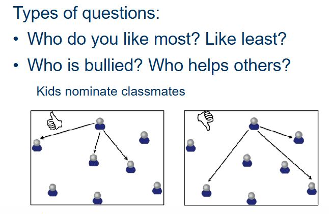 <p>In class: peer nominations. </p><ul><li><p>Based on “liked most” and “liked least” nominations. </p></li></ul><p></p>