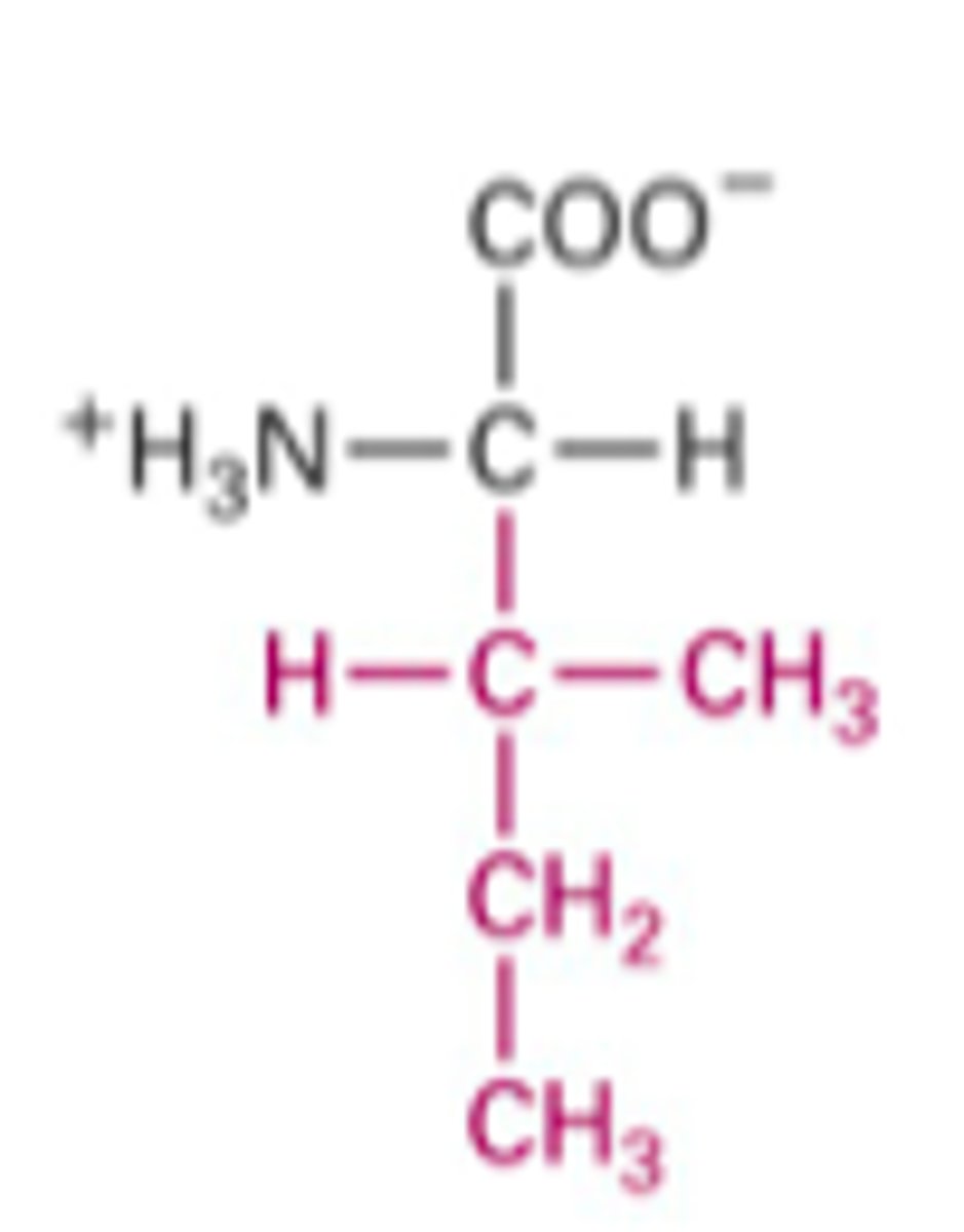 <p>What Structure is this?</p>