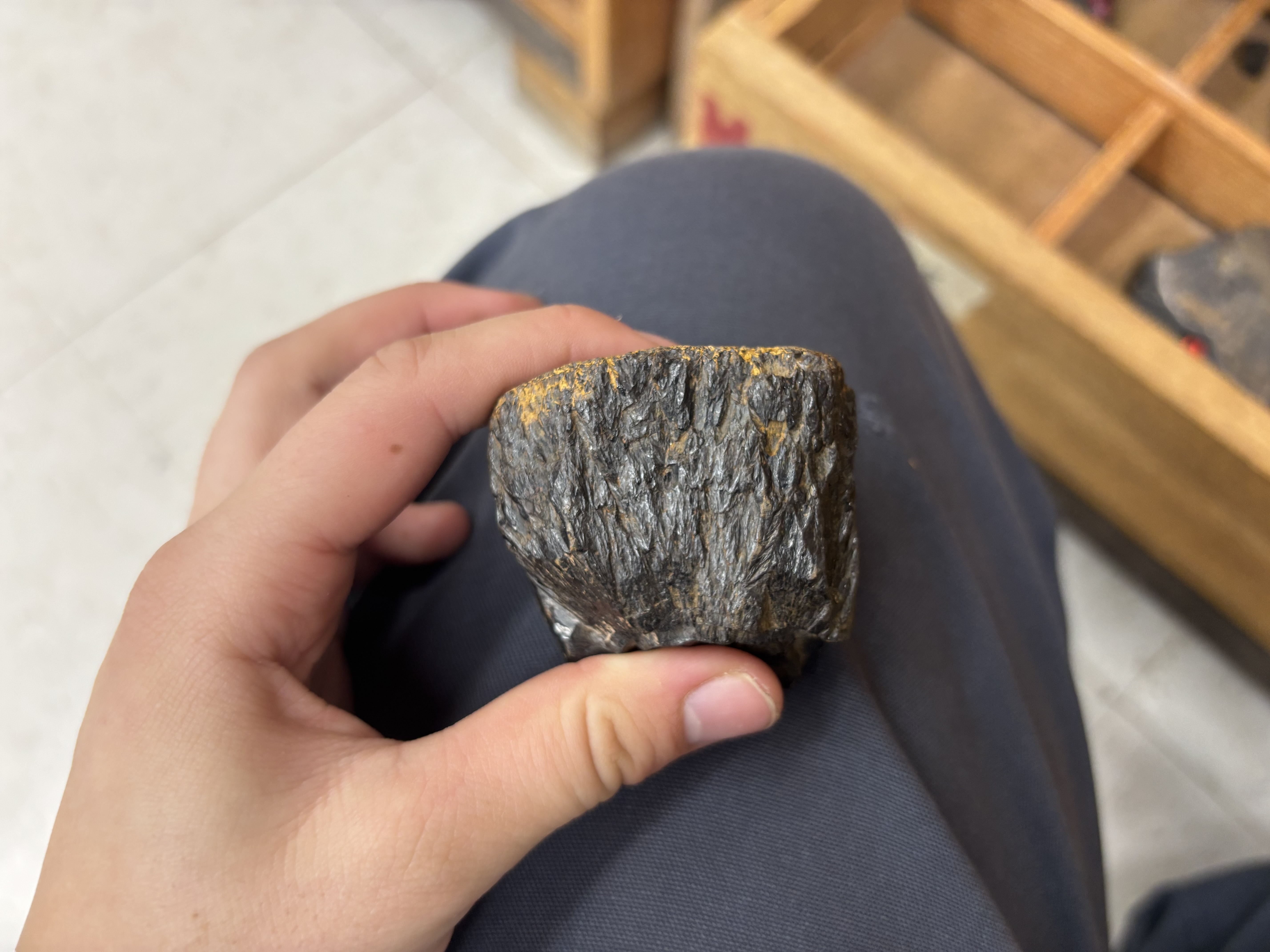 <p>Mineral, diagnosis</p>