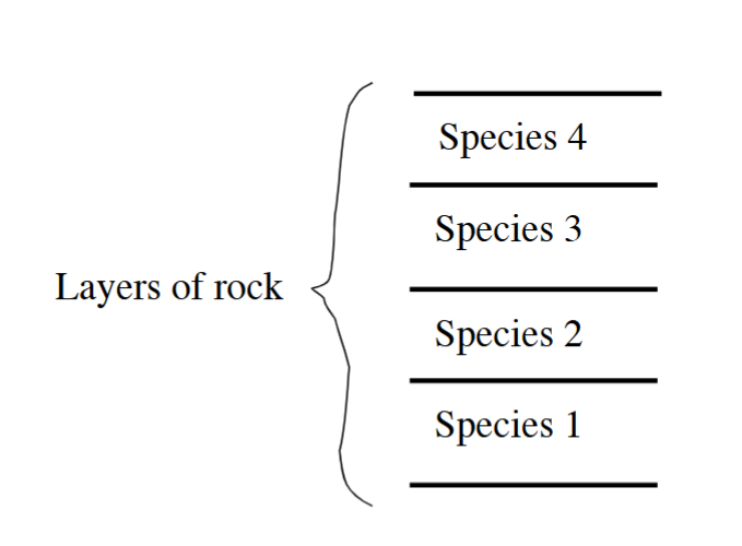 <p><span style="background-color: transparent;">Always the same sequence. Each group of organisms lived during a discreet time interval. This order is preserved in the rock record (ex: rabbits always appear after T. Rex). Thus fossils give us a sense of the relative age of rocks. </span></p>